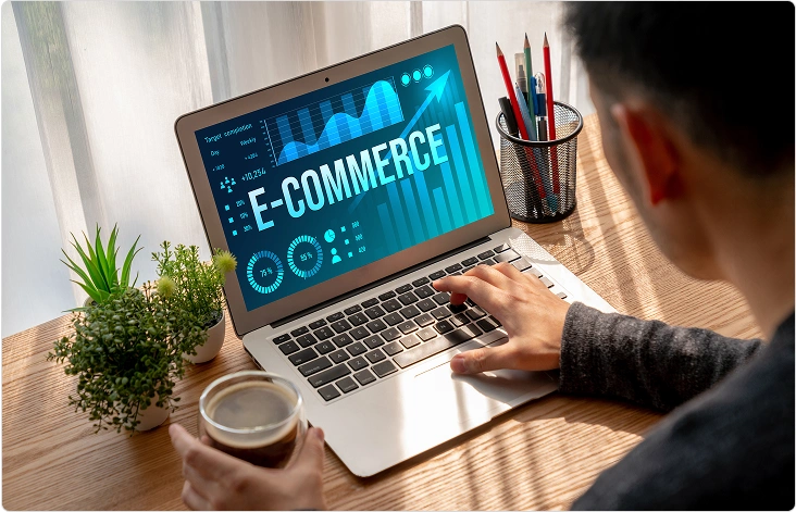 https://www.esellerhub.com/wp-content/uploads/2025/07/Custom-eCommerce-Software-Development-Services.webp